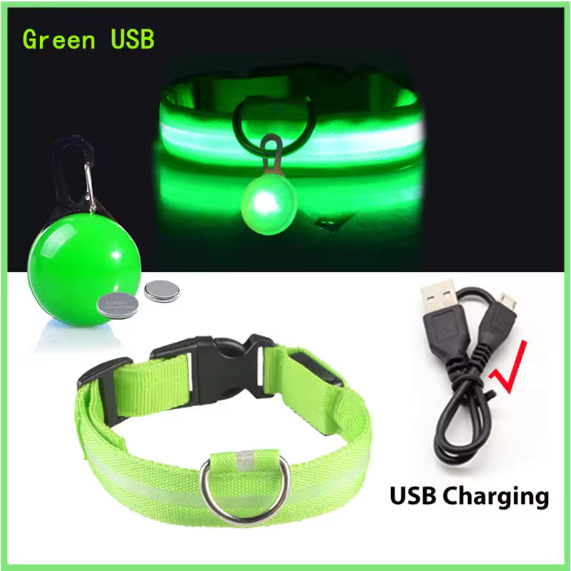 USB Rechargeable Glowing Dog Collar with Detachable LED Light Pendant - Luxury Night Safety for Small Dogs & Cats