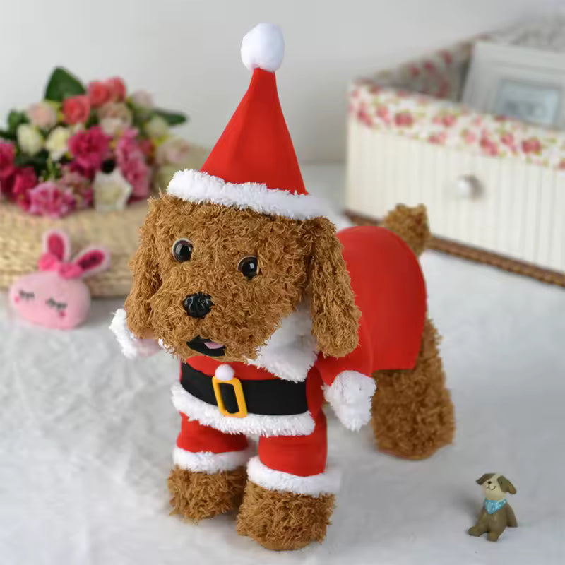 Brown poodle/teddy dog wearing a complete Santa Claus costume: red hooded coat, matching hat, jumpsuit with white trim, and a black belt with a yellow buckle.