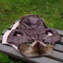 Brown puffer dog jacket with a hood and fur trim, laid out on a wooden bench outside.