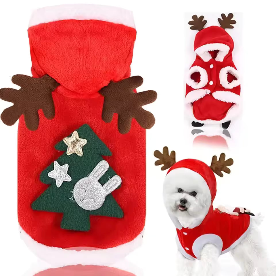 Dog wearing a green dress-style Christmas Tree coat with white pom-pom ornaments and a golden star detail.