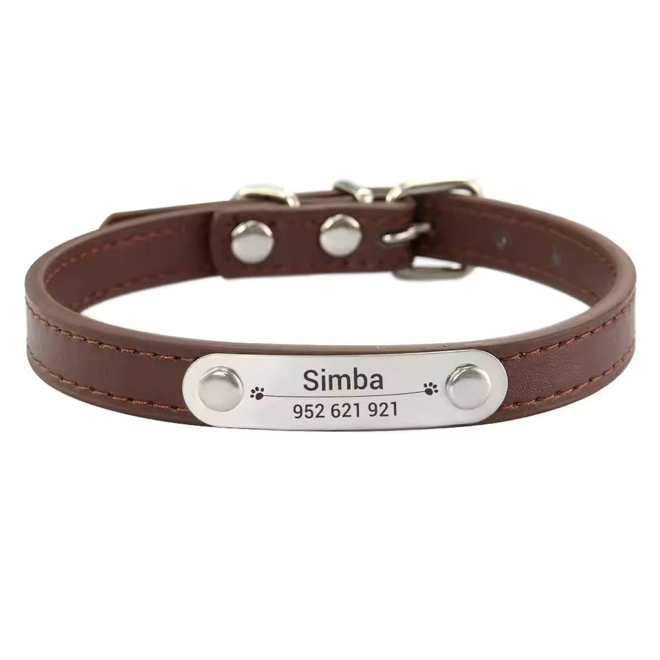 Brown custom ID collar on a large dog showing the solid leather material