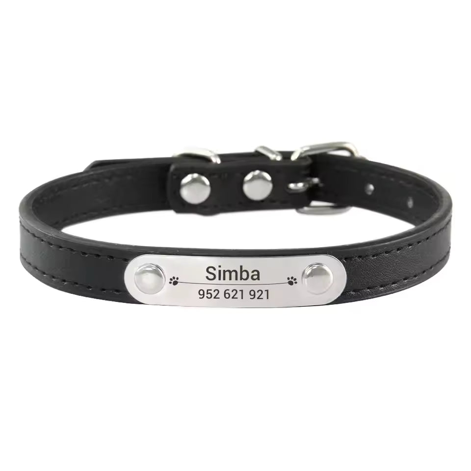 Close-up shot of the personalized engraving on the leather collar for pet safety