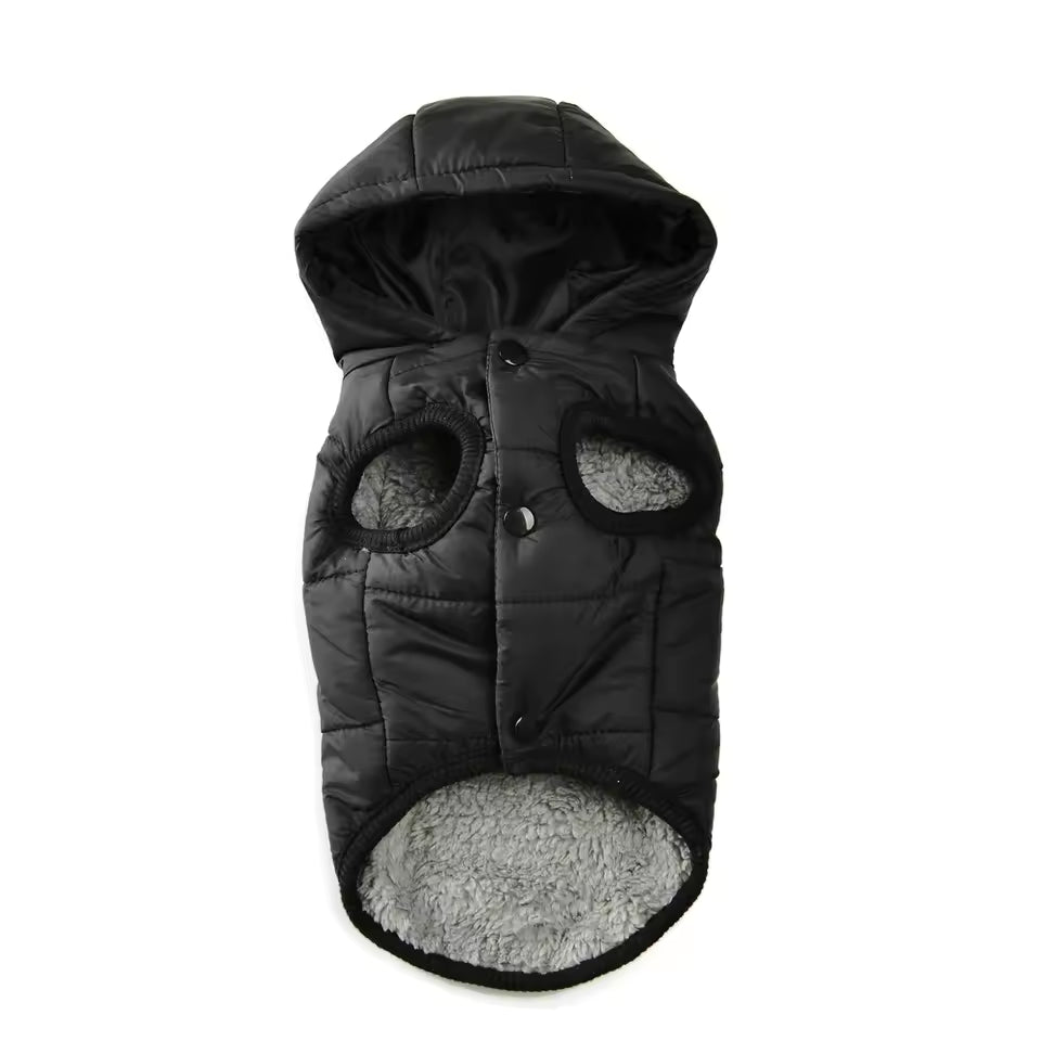 Sleek Black fleece winter coat on a small dog showing the D-ring attachment