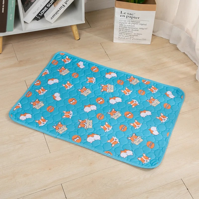 Reusable Dog Pee Pad Blanket