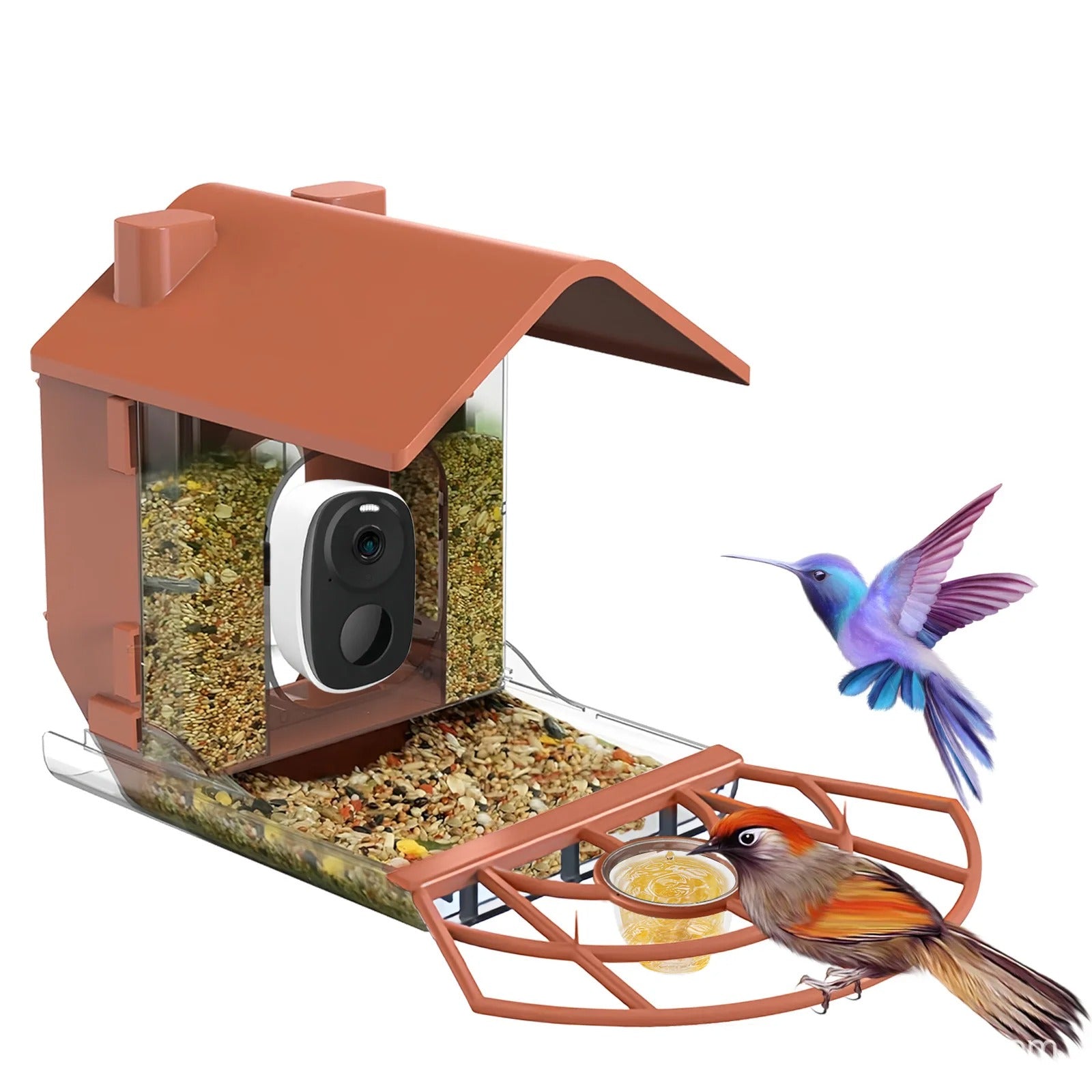 Smart AI Bird Feeder with Camera