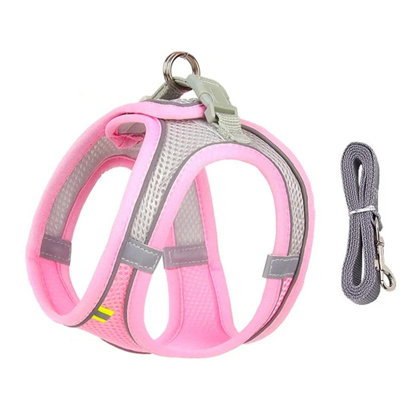 Adjustable Puppy & Cat Harness Set