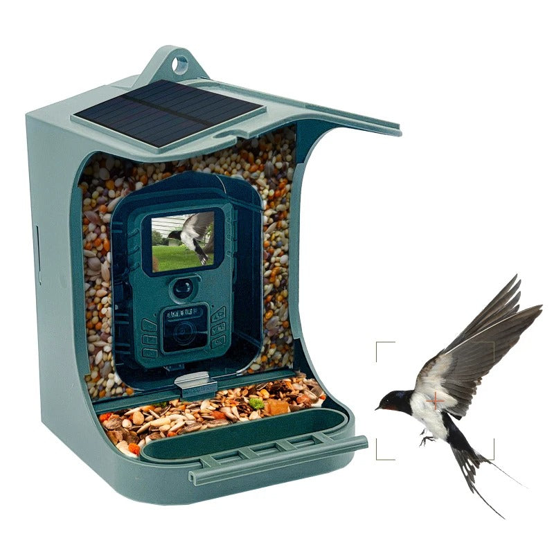 Solar-Powered 1080P Wireless Smart Bird Feeder Camera with WiFi & AI