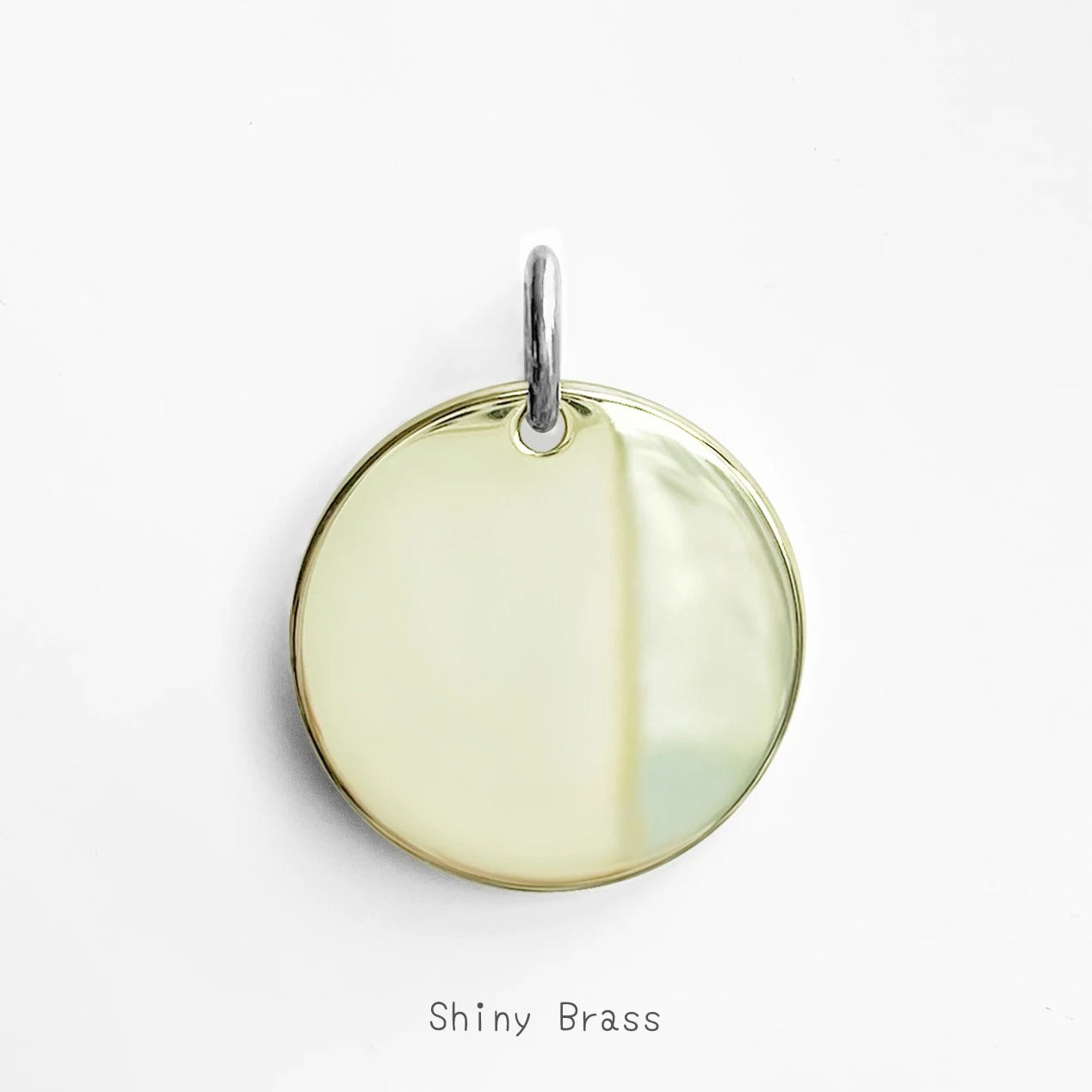 Personalized Pet ID Tag & Charm