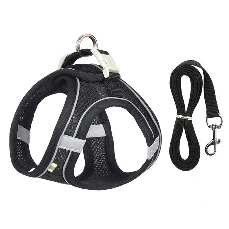 Adjustable Puppy & Cat Harness Set