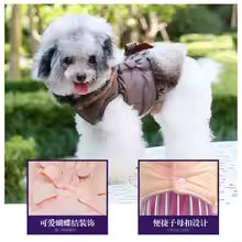Small white poodle wearing a brown winter coat with faux fur trim, brown bow, and quilted puffer fabric.
